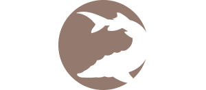 HÔTEL RESTAURANT L'ESTURGEON